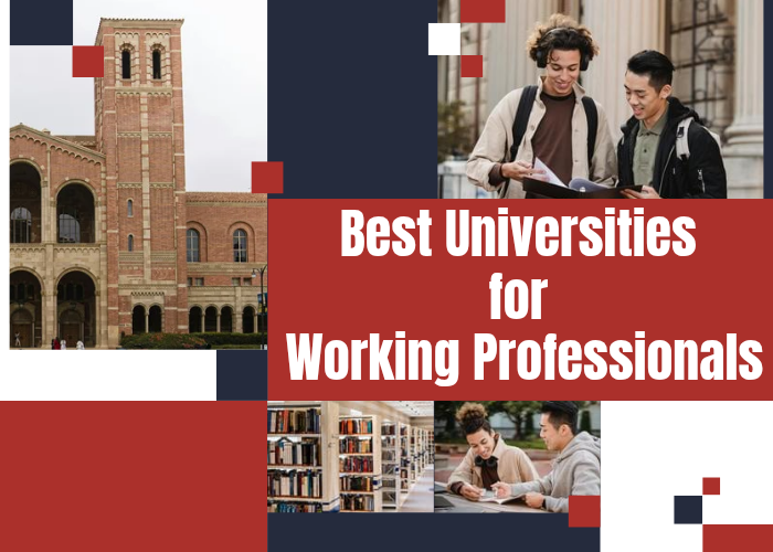 Best Universities for Working Professionals